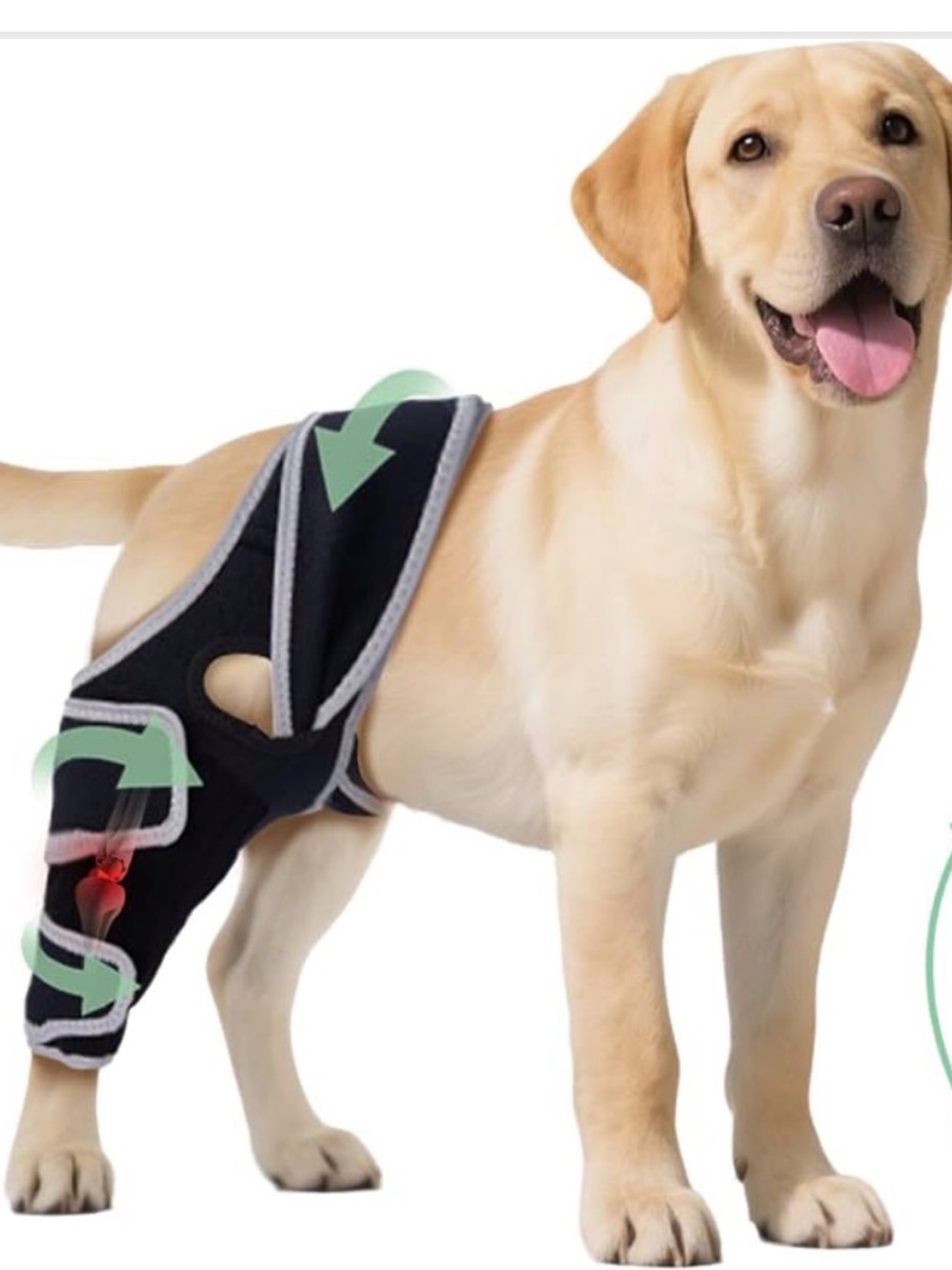 New Dog Knee Brace 4 Torn ACL Hind Leg Adjustable Four-Legged Universal-Large